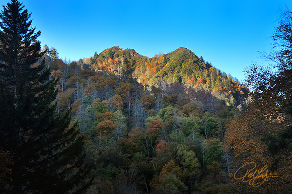 Chimney Tops