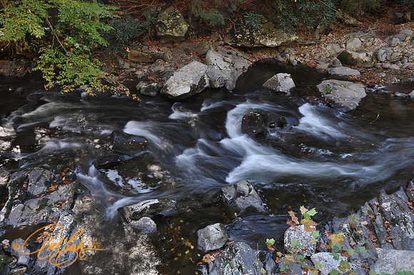 Stream near Meigs Falls