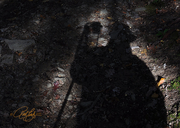 Self Portrait