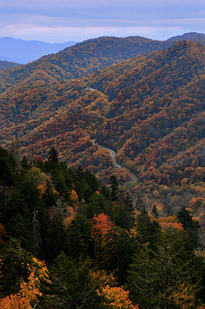 Newfound Gap Road