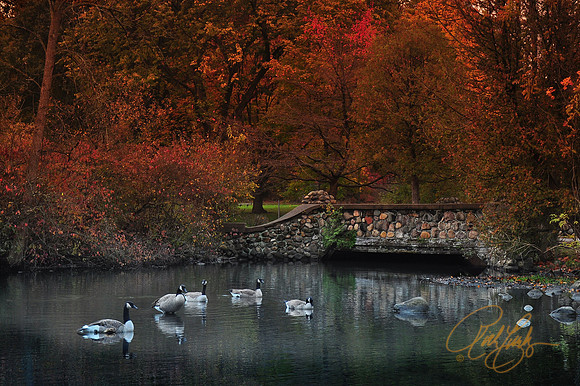 Milham Park, South Bridge