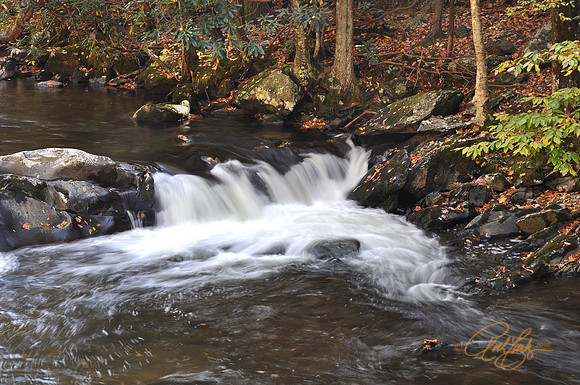 Mountain Stream