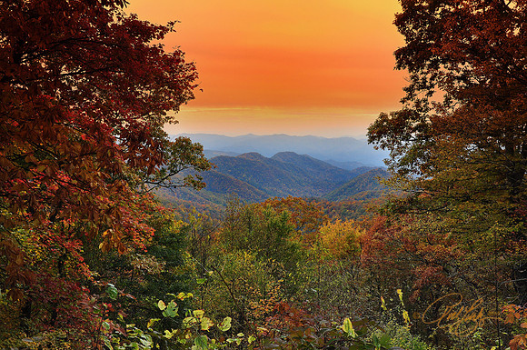 Newfound Gap