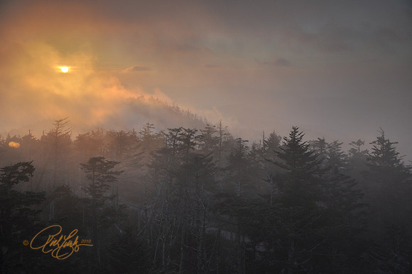 Clingmans Dome