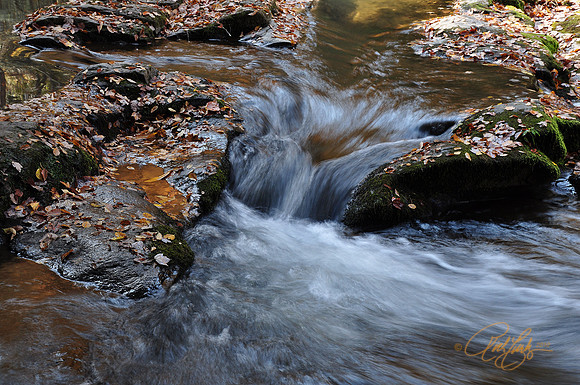 Streams on Abrams Trail