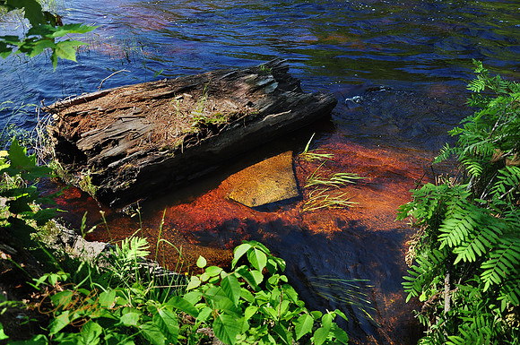 Lower Tahquamenon Falls